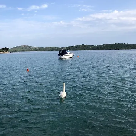 Kompleks wypoczynkowy Camping *